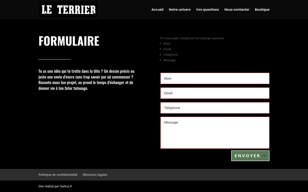 Le formulaire du site du Terrier envoyé vide : la liste des champs à remplir et leurs encadrés rouges, sur ordinateur.