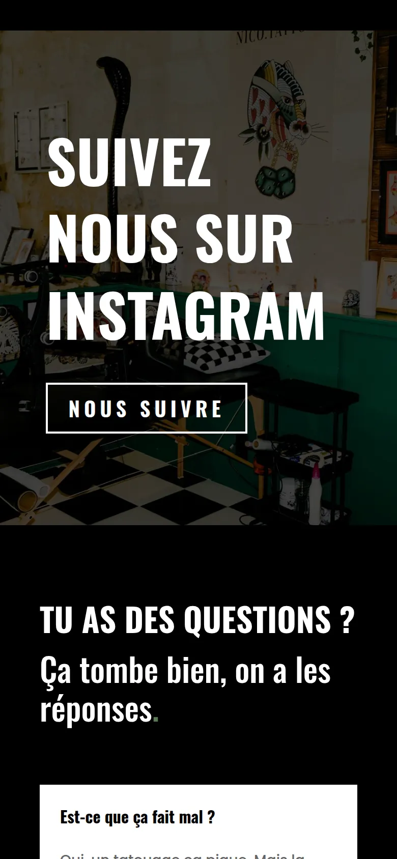 Section « Suivez-nous sur Instagram » de l’accueil du site du Terrier, sur téléphone.