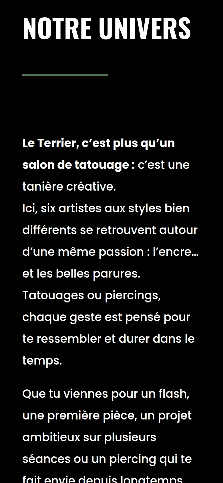 Section « Notre univers » de l’accueil du site du Terrier, sur téléphone.